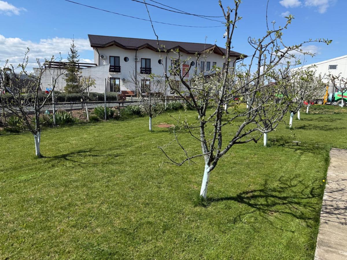 Agropensiunea Livada lui Cezar și Rares - B&B Cataloi