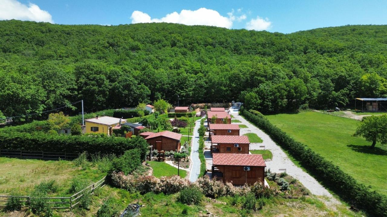 La Baita Del Bosco - Bed and Breakfast Albano di Lucania
