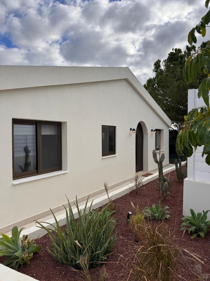 Seaview Home with Private Pool - 5 min from Beach - B&B Neo Chorio