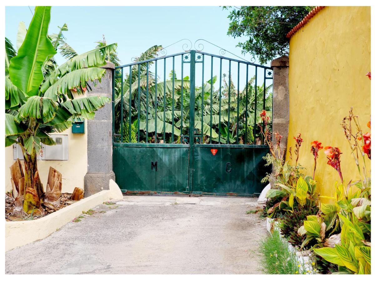 Finca EcoBorges - B&B Arucas