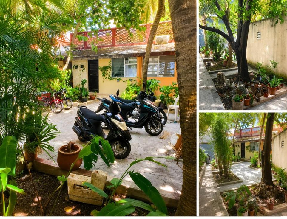 COZUMEL Centro PARADISIACO - B&B San Miguel de Cozumel
