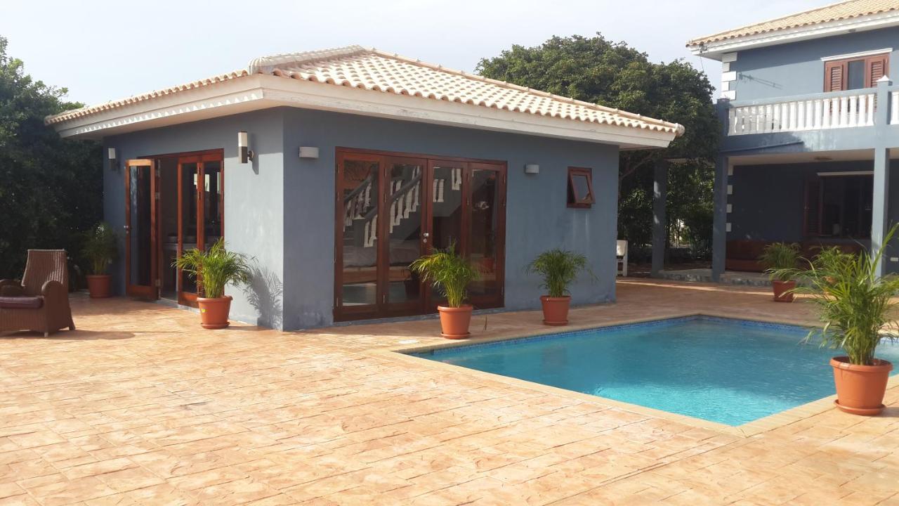 Great Hill View Apartment - B&B Grote Berg