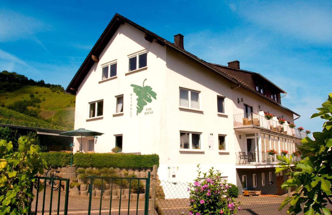Weingut-Brennerei-Gästehaus Emil Dauns - B&B Reil