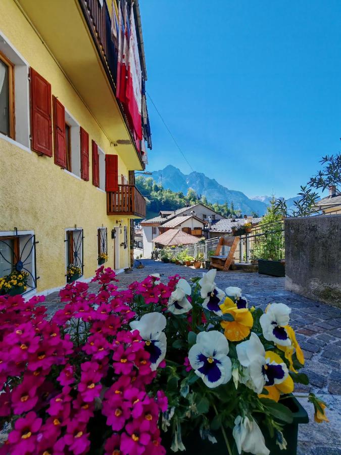 In Cima alla Contrada-Dolomiti & Lake View - B&B Pieve di Cadore
