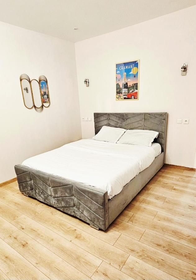 Belle Appartement avec 2 studios 2 salles de bain & Parking Gratuit dans le rue RDC proche centre - Chambres d'hôtes Épernay