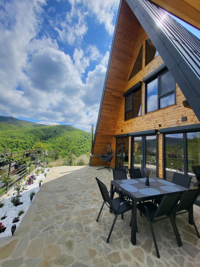 Hill House Doftana - B&B Seciuri