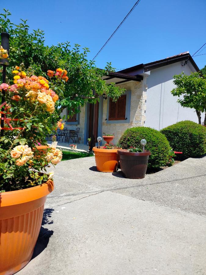 Apartment mit Gartenblick
