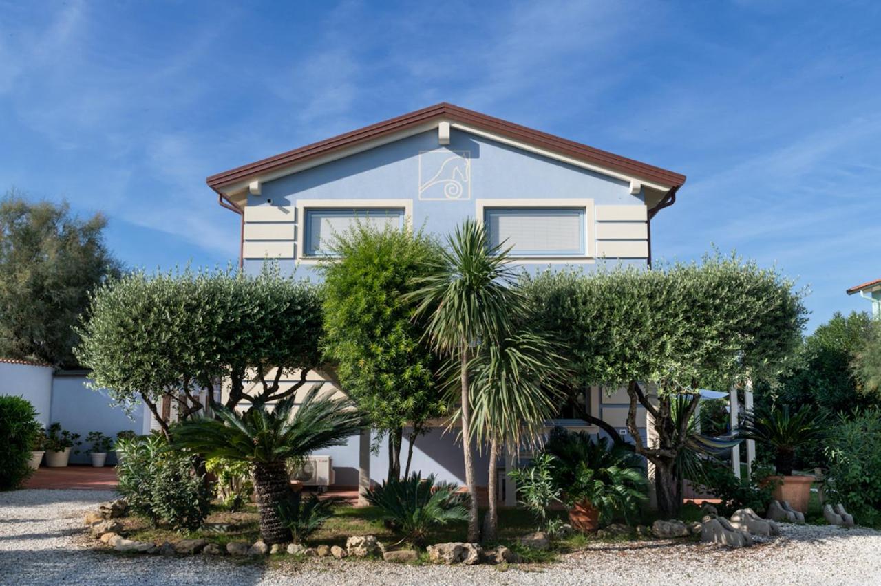 Gelsomino Suite Il Cavallone Beach Club - Ferienwohnung Lido di Camaiore