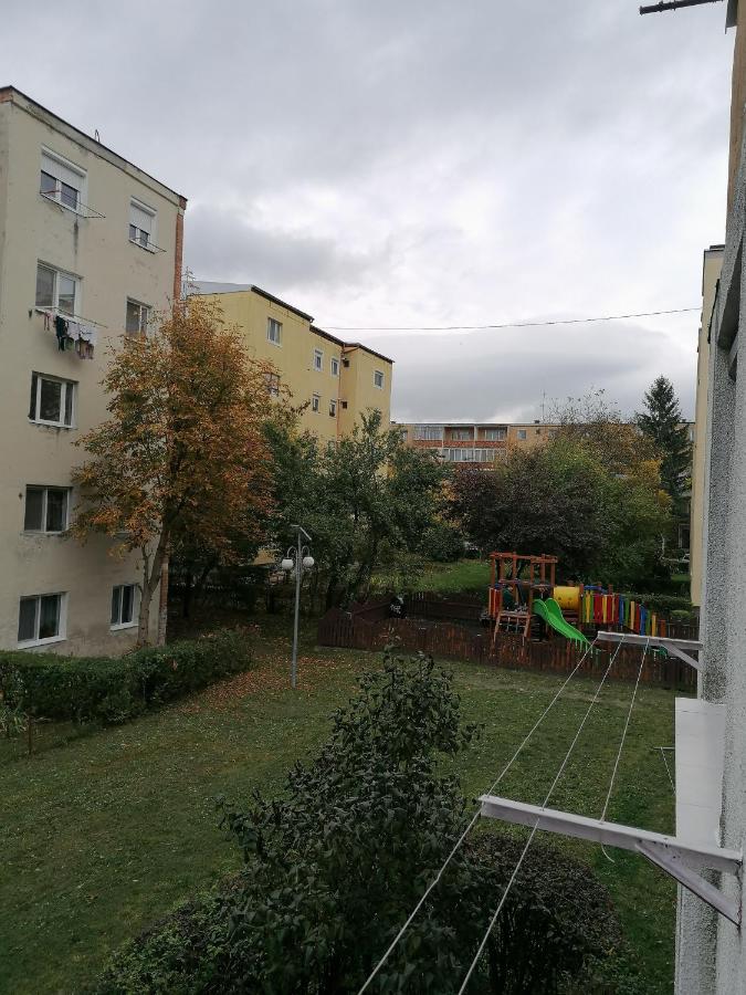 Romanilor - Studio First Floor - Ferienwohnung Deva
