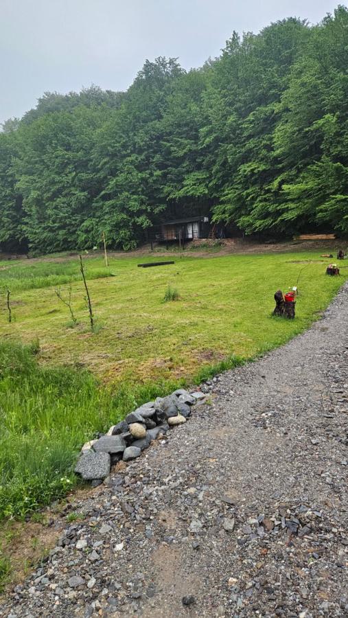 Căsuța din pădure KSIM - Bed and Breakfast Curtea de Argeş