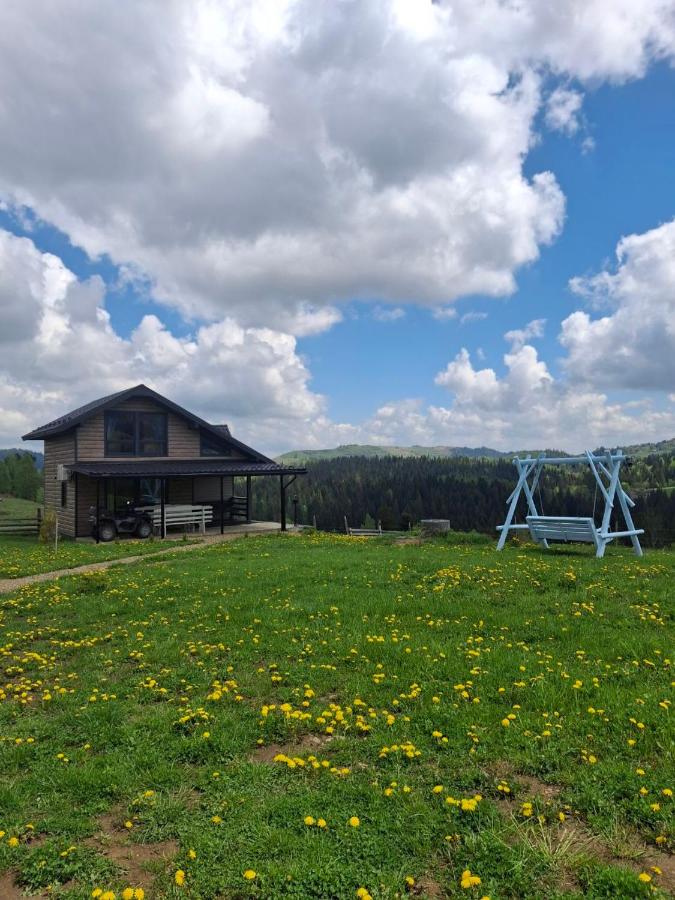 Bukhouse Carpathians - Chambres d'hôtes Kryvorivnia