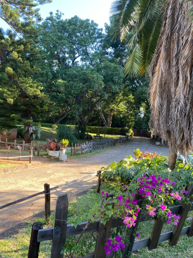 Green Whisper BnB - B&B Mutare