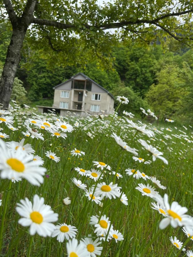 Guest House Tobuldar - Ferienwohnung Kvemo Marghi