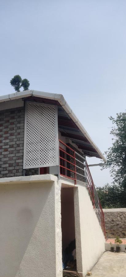 LoveNest Kodai - Bed and Breakfast Kodaikānāl