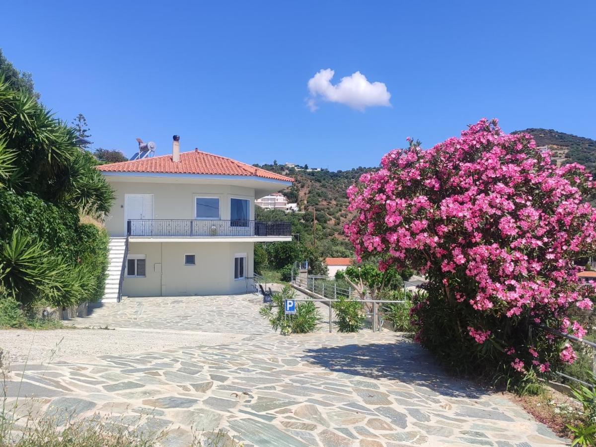 Aegean Beachfront Apartment - Chambres d'hôtes Petriés