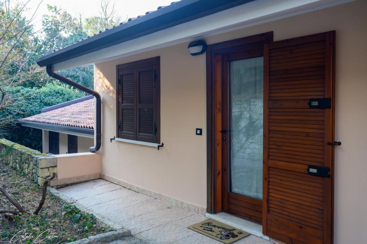 Casa delle Magnolie Valpolicella vicino Verona Free Parking - Chambres d'hôtes Pedemonte