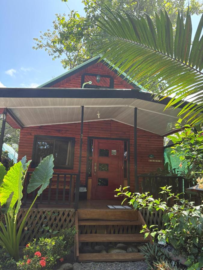 Cabaña Vacal WiFi, beach front #1 - Bed and Breakfast Uvita