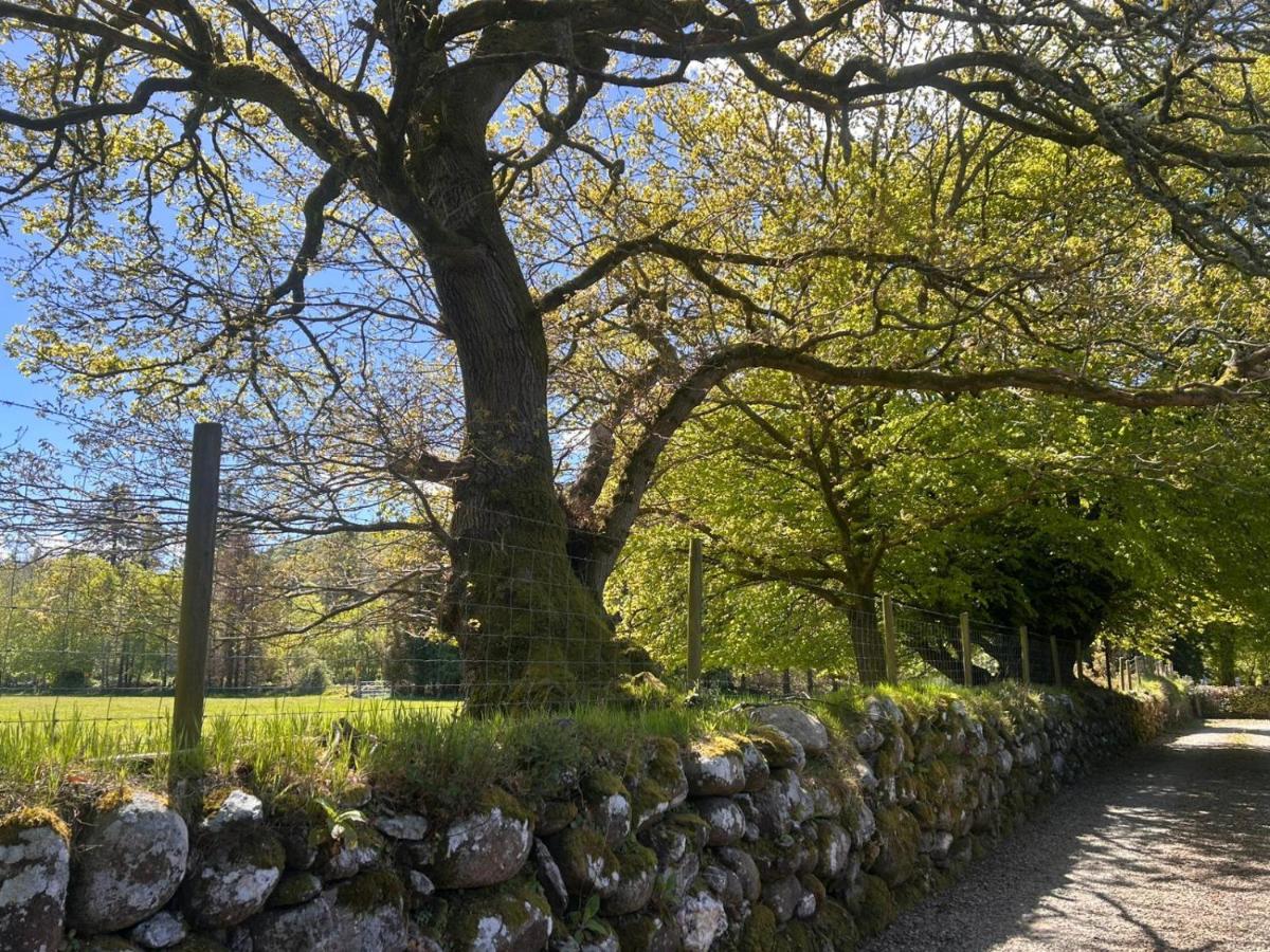 The Mews at Derrybawn - B&B Laragh