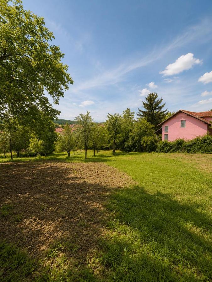 Apartmani White House - Ferienwohnung Vrdnik