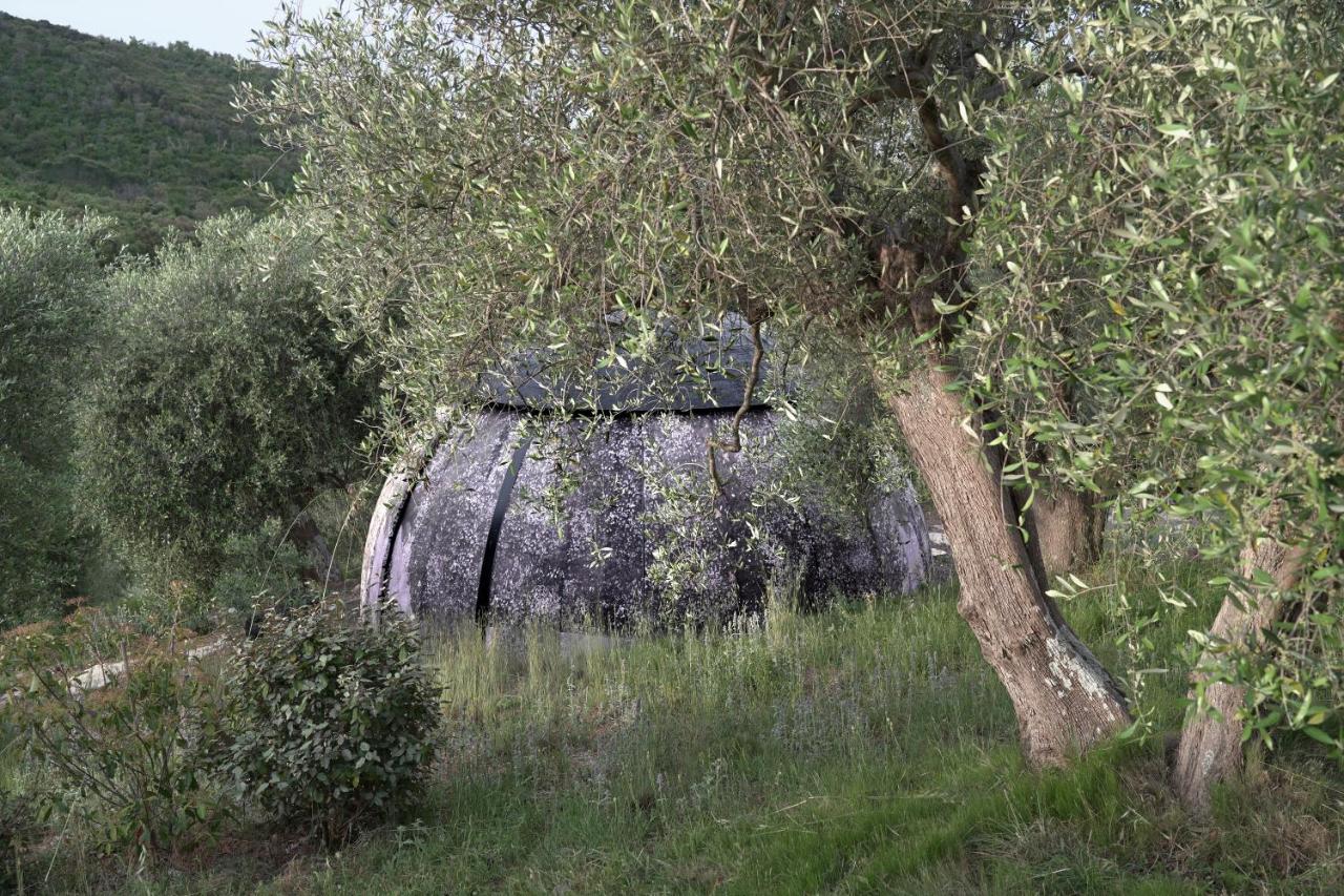 Cosmo Camp - Bed and Breakfast Montepescali