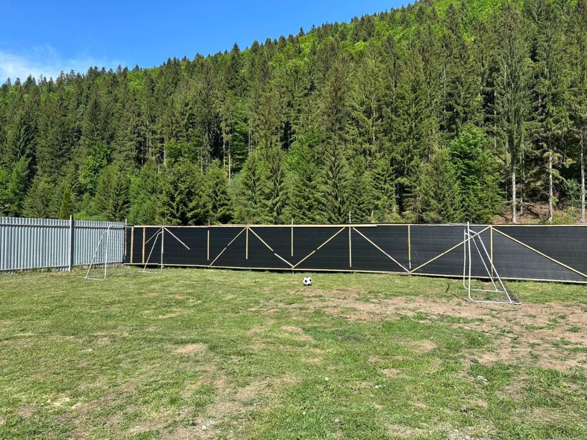 Frame&Forest2 - B&B Kolochava