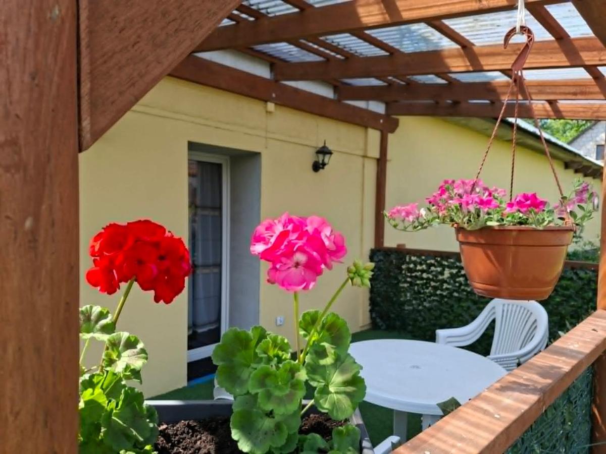 Agroturystyka Przy Rajskim Sadzie - Ferienwohnung Nowoberezowo