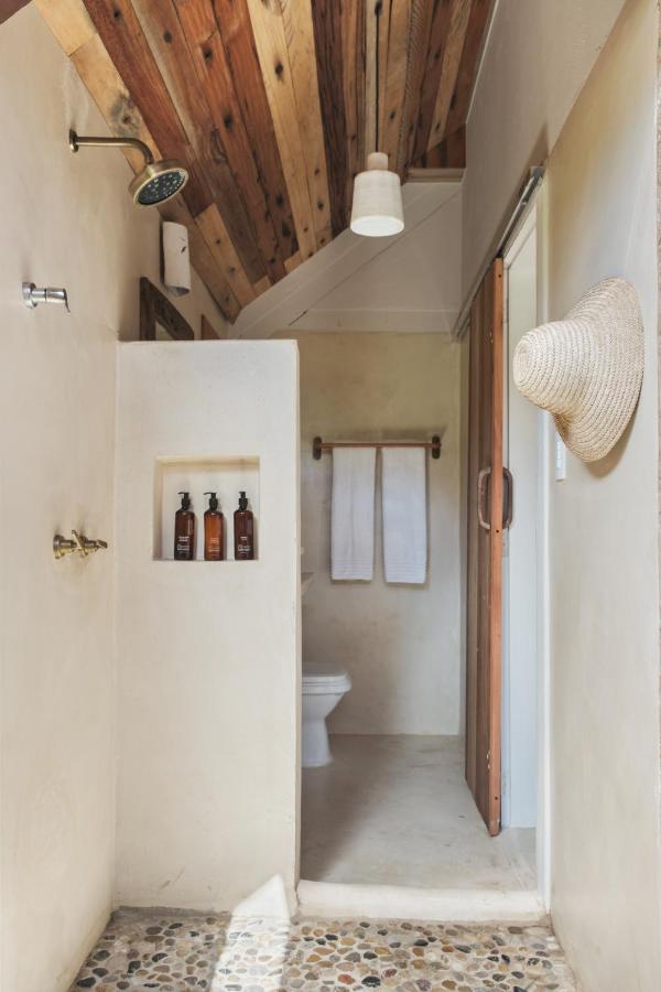 Suite Estándar