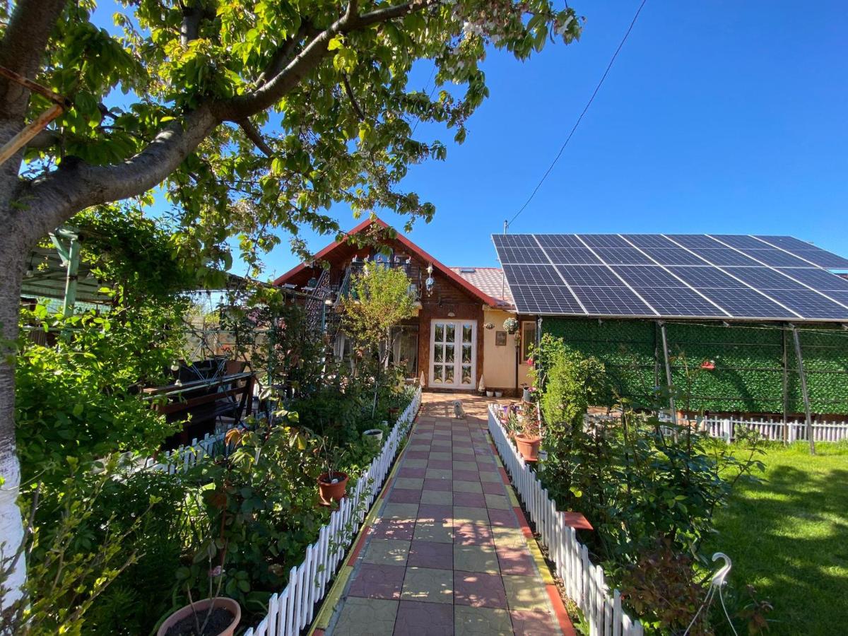 Casa Dorului - B&B Limanu