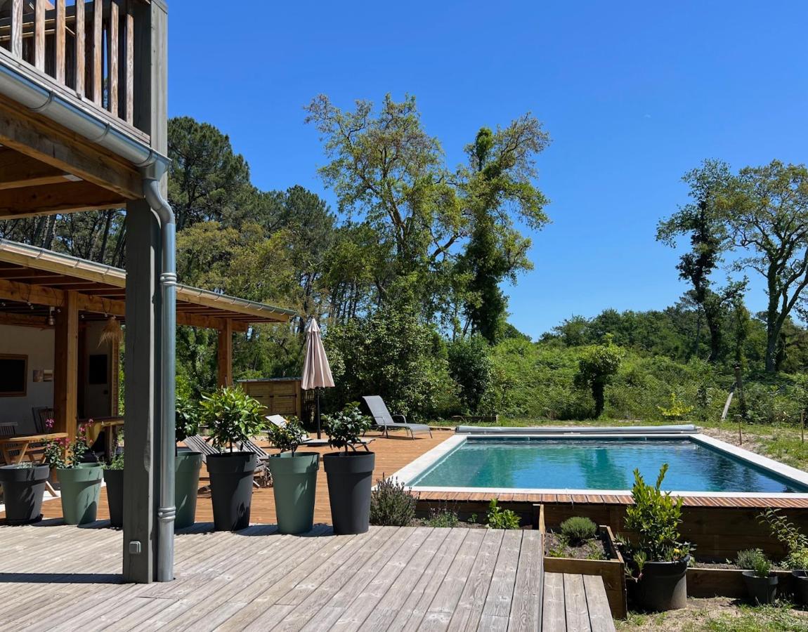 Laguillotte - B&B Seignosse