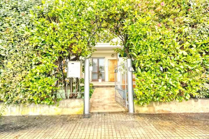Private Parking & Garden -Luxury B&B-700mt Tower - B&B Pisa
