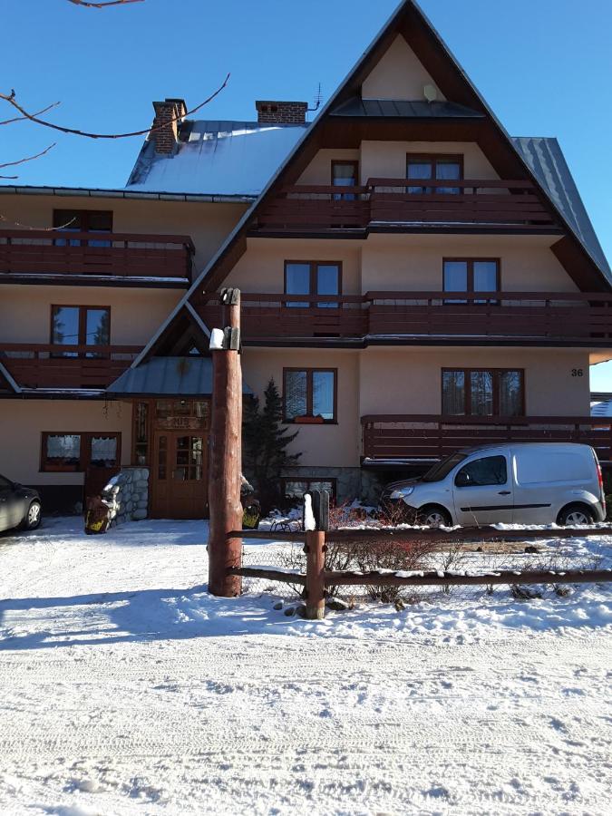 Miś Pokoje Gościnne - Bed and Breakfast Bukowina Tatrzańska