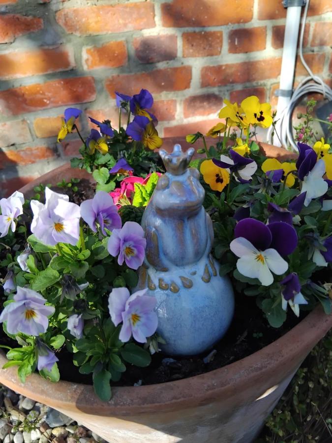 Ferienhof - Rauhenberg - B&B Wangels