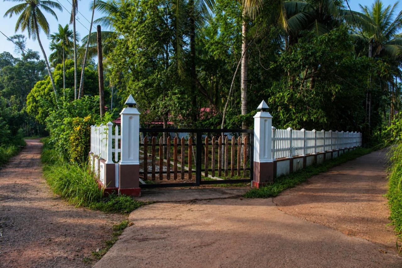 Villa Serene Herbs Dickwella - B&B Dikwella