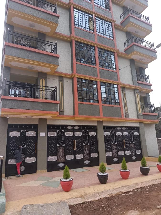 Modern and spacious studio with parking Mirema - B&B Nairobi