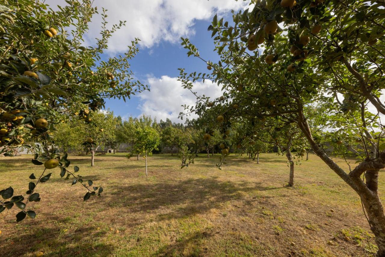 La finca de vista hermosa - Chambres d'hôtes Sofán