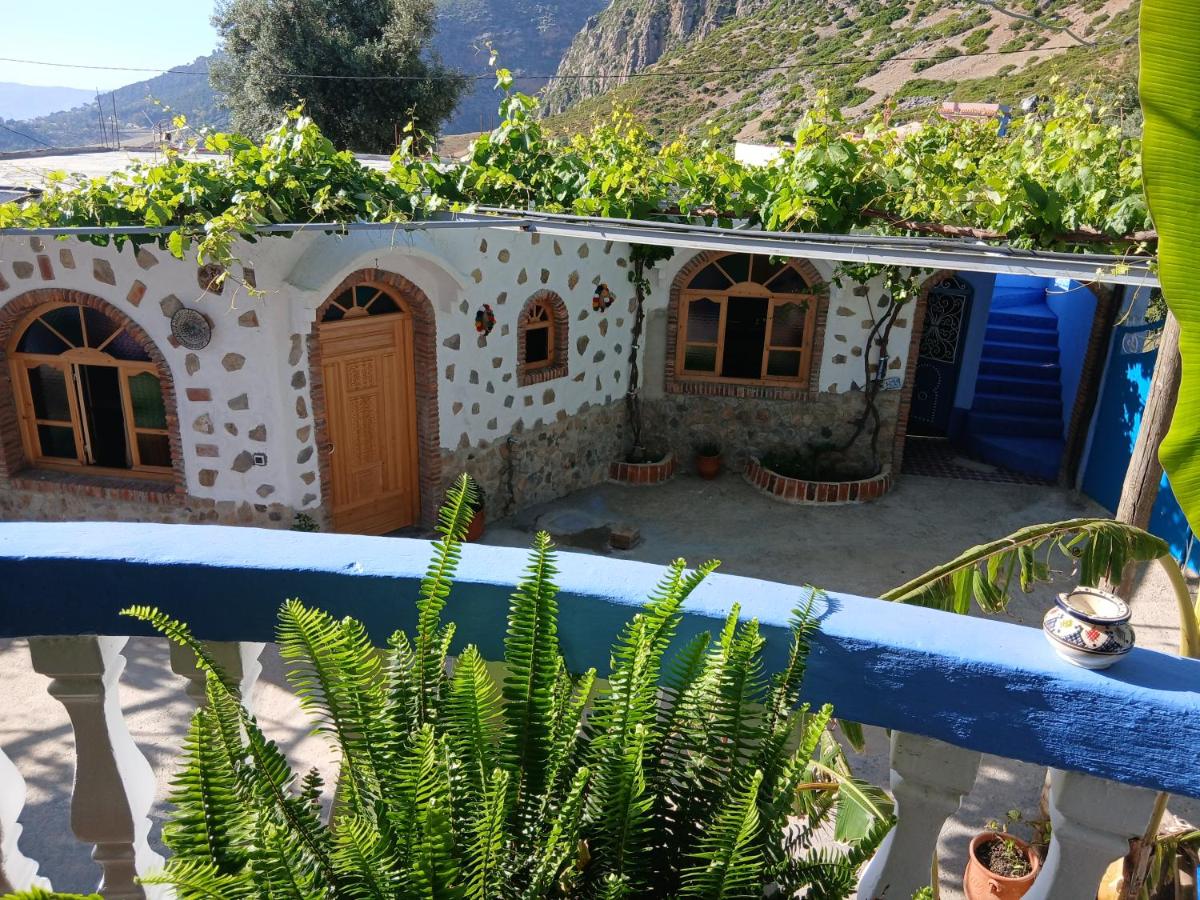 Blue House Town - B&B Chefchaouen