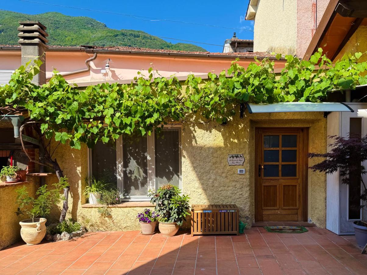 La casina di mezzo - Tiny House - B&B Camaiore
