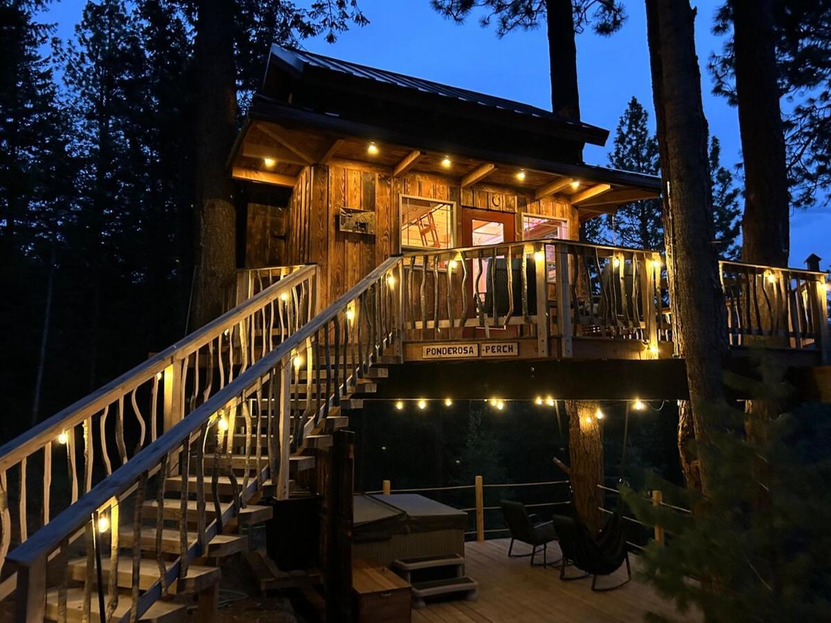 Luxury Treehouse and hot tub - B&B De Borgia