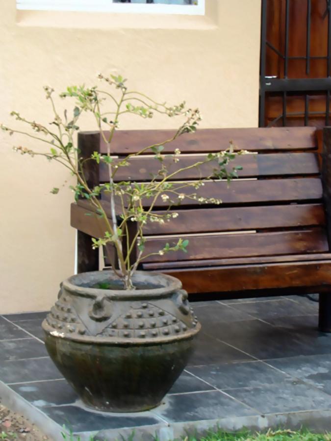 Zamar Guest House - B&B Caledon