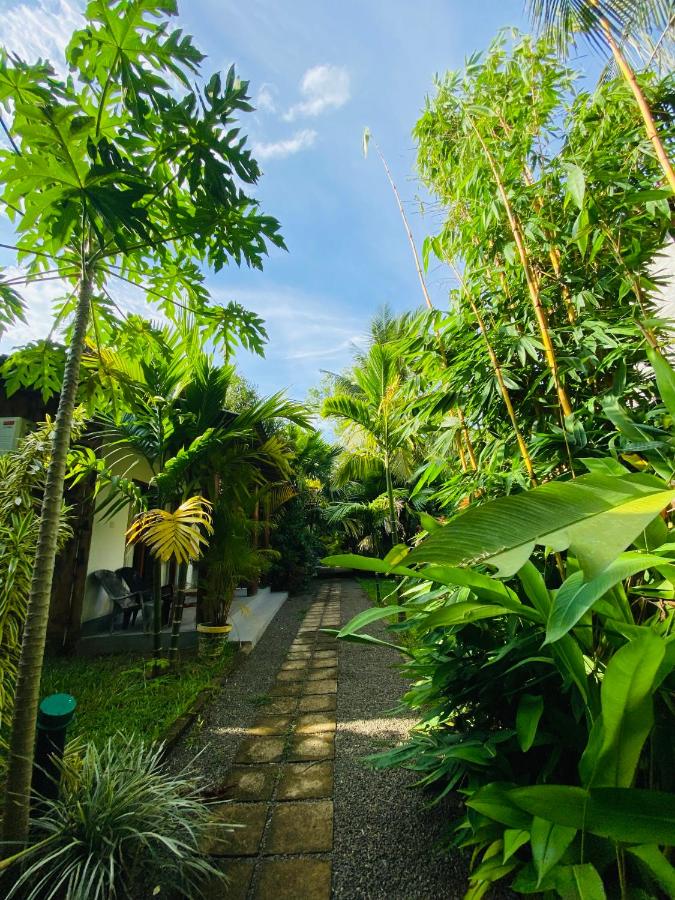 Clay House - B&B Udawalawa