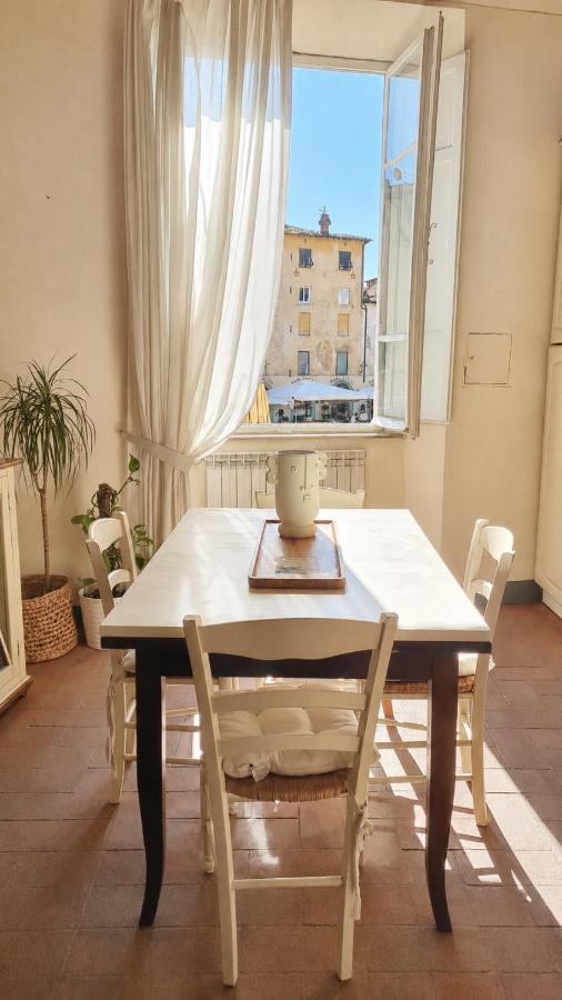 In Anfiteatro. Vivere Lucca immersi nella storia - B&B Lucca