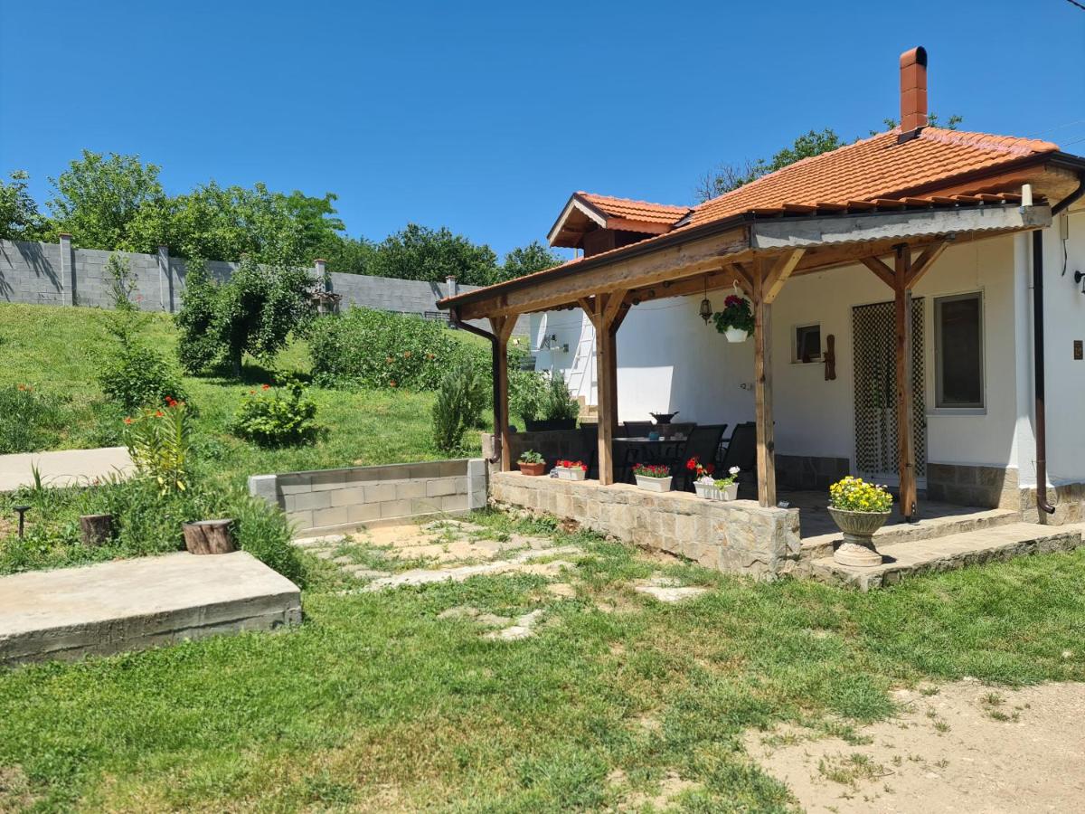 Haus Kazimir - B&B Kazimir