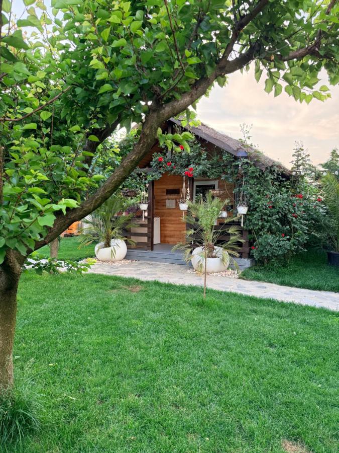 Cabana Sorina - Bed and Breakfast Corbu