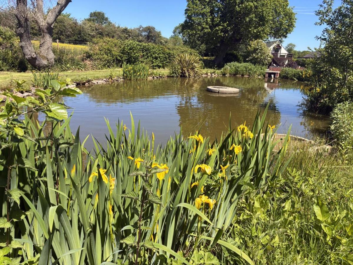 1 Bed in Hawarden oc-86711 - Bed and Breakfast Hawarden