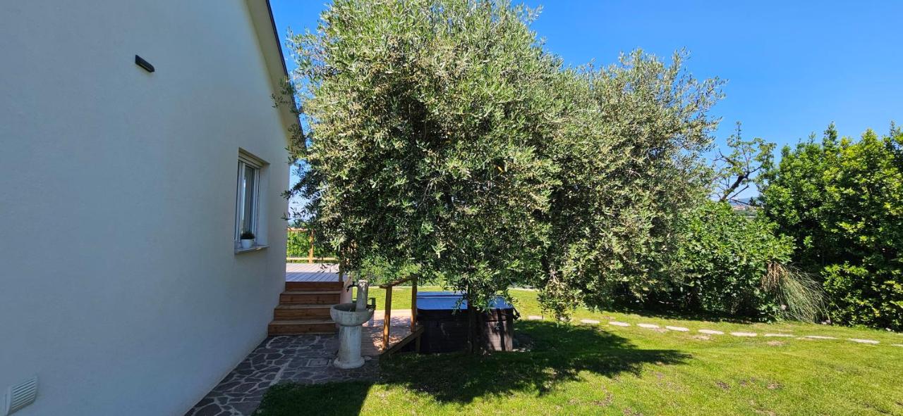 The Cosyvine House - A peaceful private retreat with jacuzzi, sauna, and breathtaking Brda views - B&B Kozana