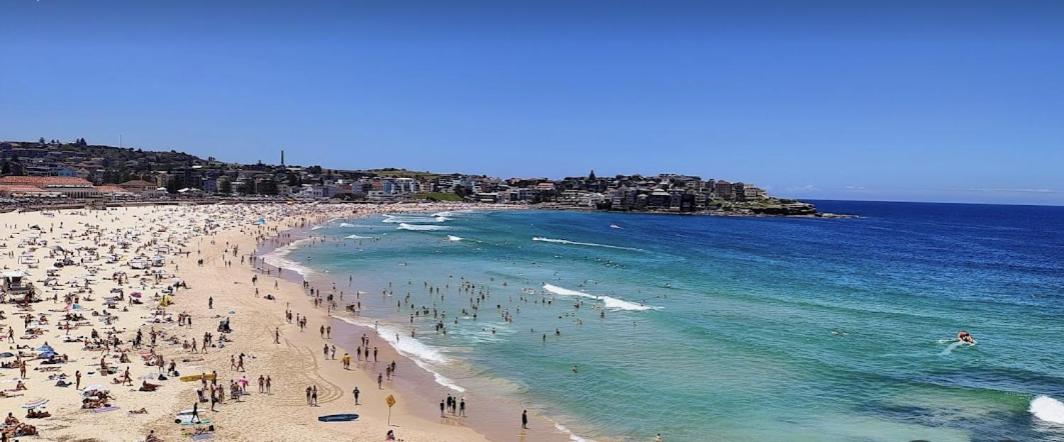 Cozy Bondi ROOM - Beach life and Local Host! Free Parking - B&B Sydney