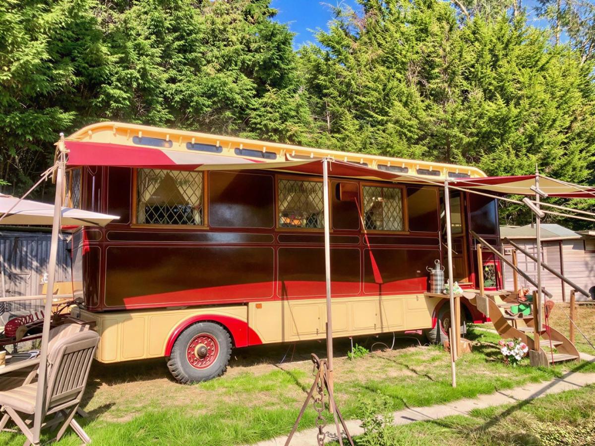 Molly the Showman's Wagon - Bed and Breakfast Hailsham