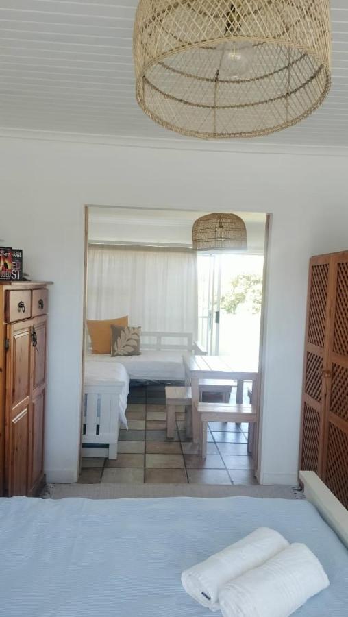 Seal Point Gem - B&B Cape St Francis