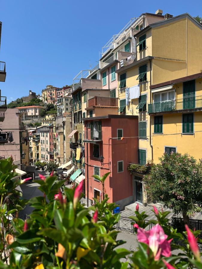 Catainetta - Chambres d'hôtes Riomaggiore