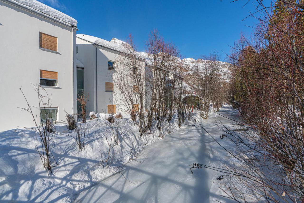 Residenza Edelweiss 2 2 - B&B Sils-Segl Maria